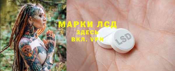 apvp Надым