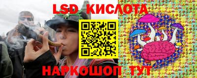 Альфа ПВП Канаш