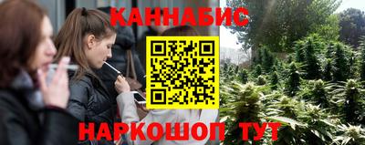 Альфа ПВП Канаш