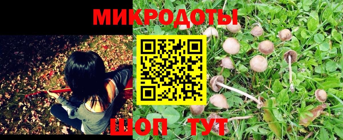 Псилоцибиновые грибы прущие грибы  где купить наркотик  Мегион  Вход с VPN 